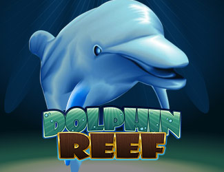 ninegames_dolphin_reef 九州娱乐娱乐海豚乐园